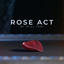 Visual Matrix AKA Rose Act Elegant Gold (Gimmick and Online Instructions) by Will Tsai and SansMinds - Trick