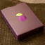 Plum Pi Playing Cards by Kings Wild Project