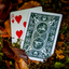 Bonfires Red (includes Card Magic Course) by Adam Wilber and Vulpine
