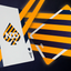Broken Borders 2020 Playing Cards by The New Deck Order