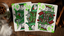 Apple Pi Playing Cards by Kings Wild Project