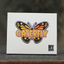 Caterfly (Red) by My Magical Project