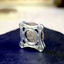 Coin Cage (Silver) by Paul Carnazzo