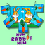 Num Rabbit Num by PlayTime Magic DEFMA