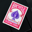 Mini Bicycle Cards (Fuchsia)