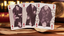 Hotel Fur Elise (Mano Sinistra Standard Edition) Playing Cards