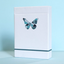 Butterfly Try-All V2 Playing Cards