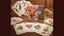 Pin-Up Playing Cards (CPC) by Collectable Playing Cards