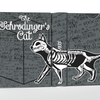 Schrodinger's Cat: Dead and Alive Edition Playing Cards