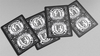 Schrodinger's Cat: Quantum Gilded Dead Black Playing Cards
