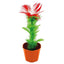 Magic Appearing Flower