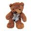 Appearing Teddy Bear