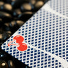 Limited Bee X Cherry (Red) Playing Cards