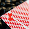 Limited Bee X Cherry (Red) Playing Cards