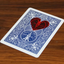 Love Transfer by N2G and WZ
