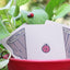 Lucky Ladybug