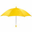 Parasol Picture Frame