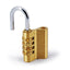 Password Lock - Cadenas 1900