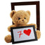 Teddy Prediction