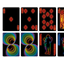 Bicycle Aura Playing Cards by Collectable Playing Cards