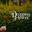DROPPING FLOWER by Mago Rigel & Twister Magic - Trick