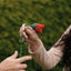 DROPPING FLOWER by Mago Rigel & Twister Magic - Trick
