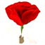 Match to Rose (Allumette en Rose)