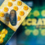 Scratch Blue (Gimmicks and Online instructions) by Kaan Akdogan and Mark Mason - Trick