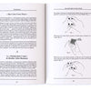 The Very Best Of Nick Trost - Édition Augmentée