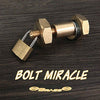 bolt miracle tour de magie incroyable laiton brass cadenas bague disparition gimmick