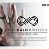 The Halo Project - Taille 8