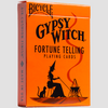 Bicycle Gypsy Witch