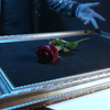 Visual Matrix AKA Rose Act Elegant Gold (Gimmick and Online Instructions) by Will Tsai and SansMinds - Trick