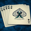 Limited Edition Peacocks Playing Cards by Rocsana Thompson