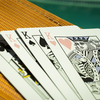 Malibu V2 Playing Cards by Toomas Pintson