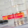 Crystal Playing Cards Cabinet by TCC - Trick