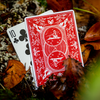 Bonfires Red (includes Card Magic Course) by Adam Wilber and Vulpine