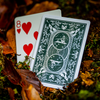 Bonfires Red (includes Card Magic Course) by Adam Wilber and Vulpine