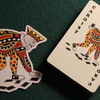 Fades Playing Cards by Paperdecks