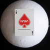 Silver Foil NASA Worm Playing Cards