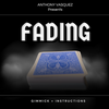 Fading (Red) by Anthony Vasquez