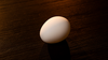 The Egg by Murphy's Magic