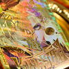 King Arthur V2 (Golden Dawn) Playing Cards by KING STAR