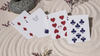 Bicycle Cycle of Venus Playing Cards