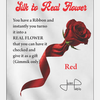 Silk to Real Flower (White) by Juan Pablo