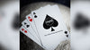 NASA BLACK HOLE "MEATBALL" LOGO PLAYING CARDS
