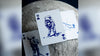 NASA HOLOGRAPHIC FOIL "MEATBALL" LOGO PLAYING CARDS