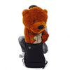 Appearing Teddy Bear