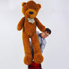 Appearing Teddy Bear