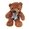 Appearing Teddy Bear